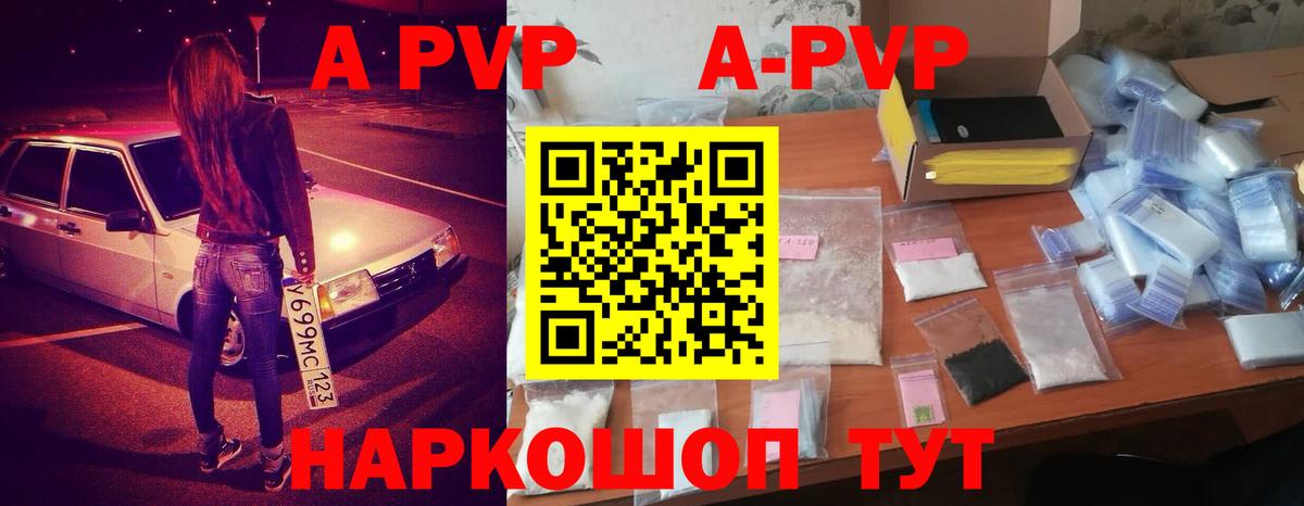 Альфа ПВП СК КРИС Новодвинск