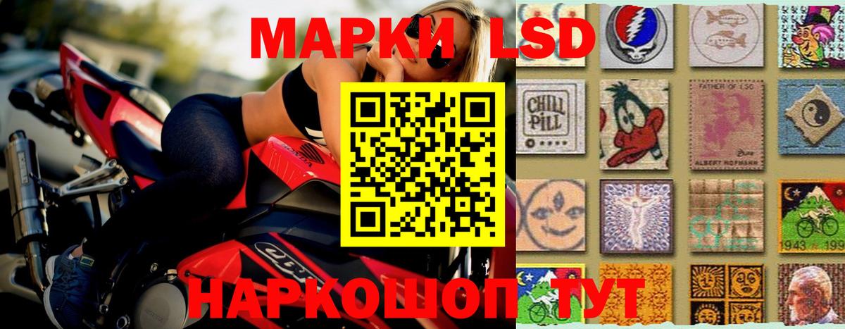 LSD-25 экстази ecstasy  Вход с VPN  Лсд 25 экстази ecstasy  Новодвинск 