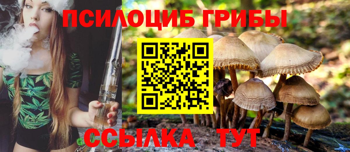Псилоцибиновые грибы MAGIC MUSHROOMS Новодвинск