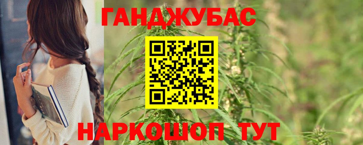 Каннабис план Новодвинск